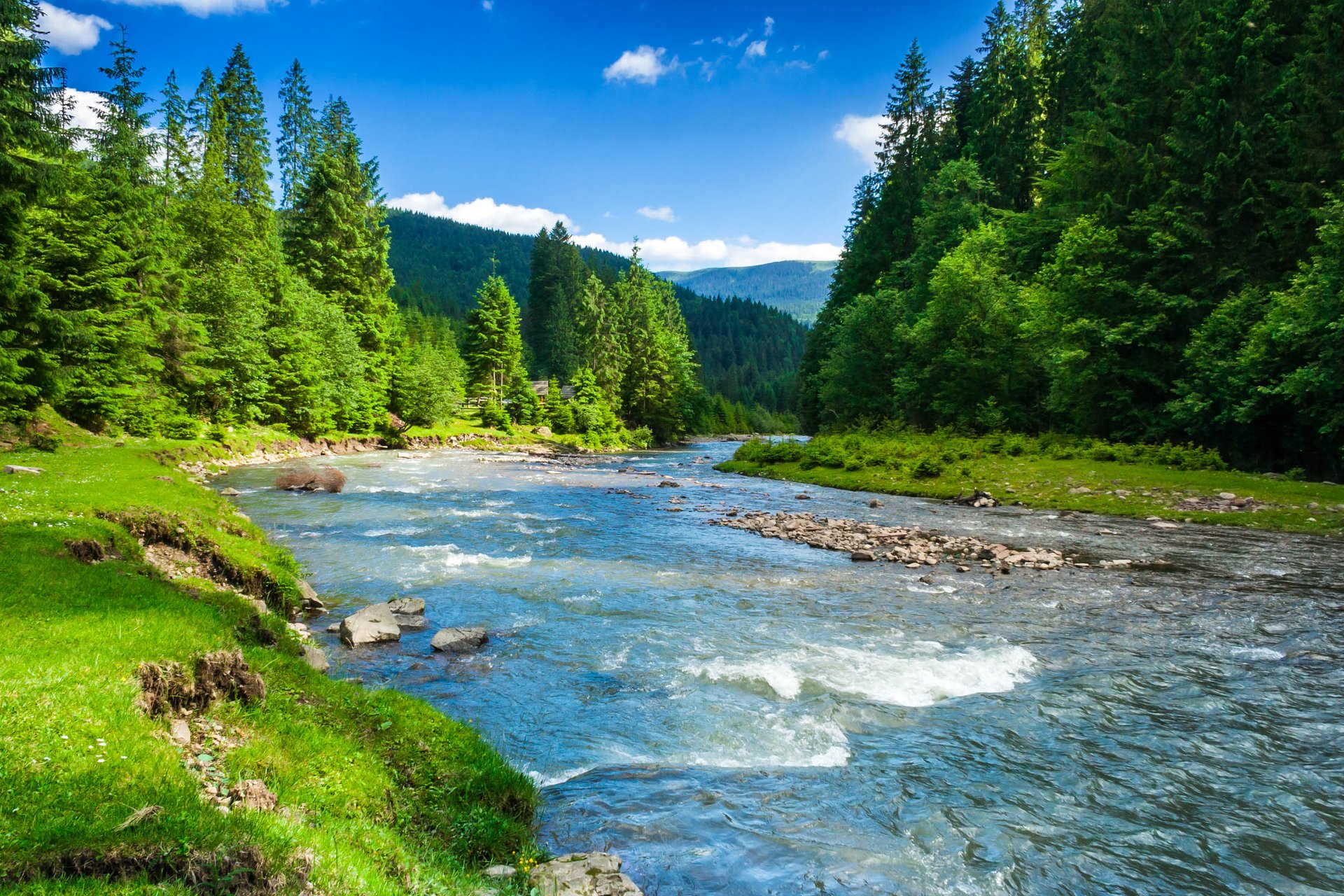Collecting DNA from rivers uncovers biodiversity