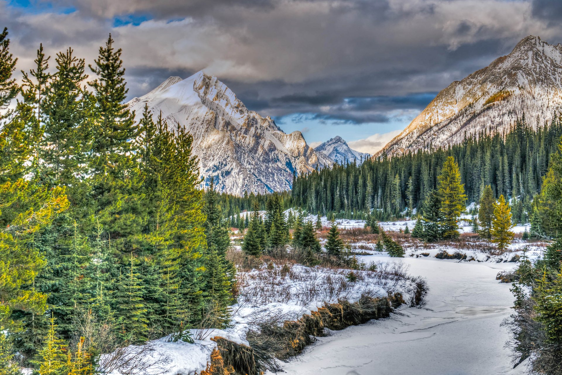 Earlier snowmelt hinders forests' ability to regulate carbon dioxide