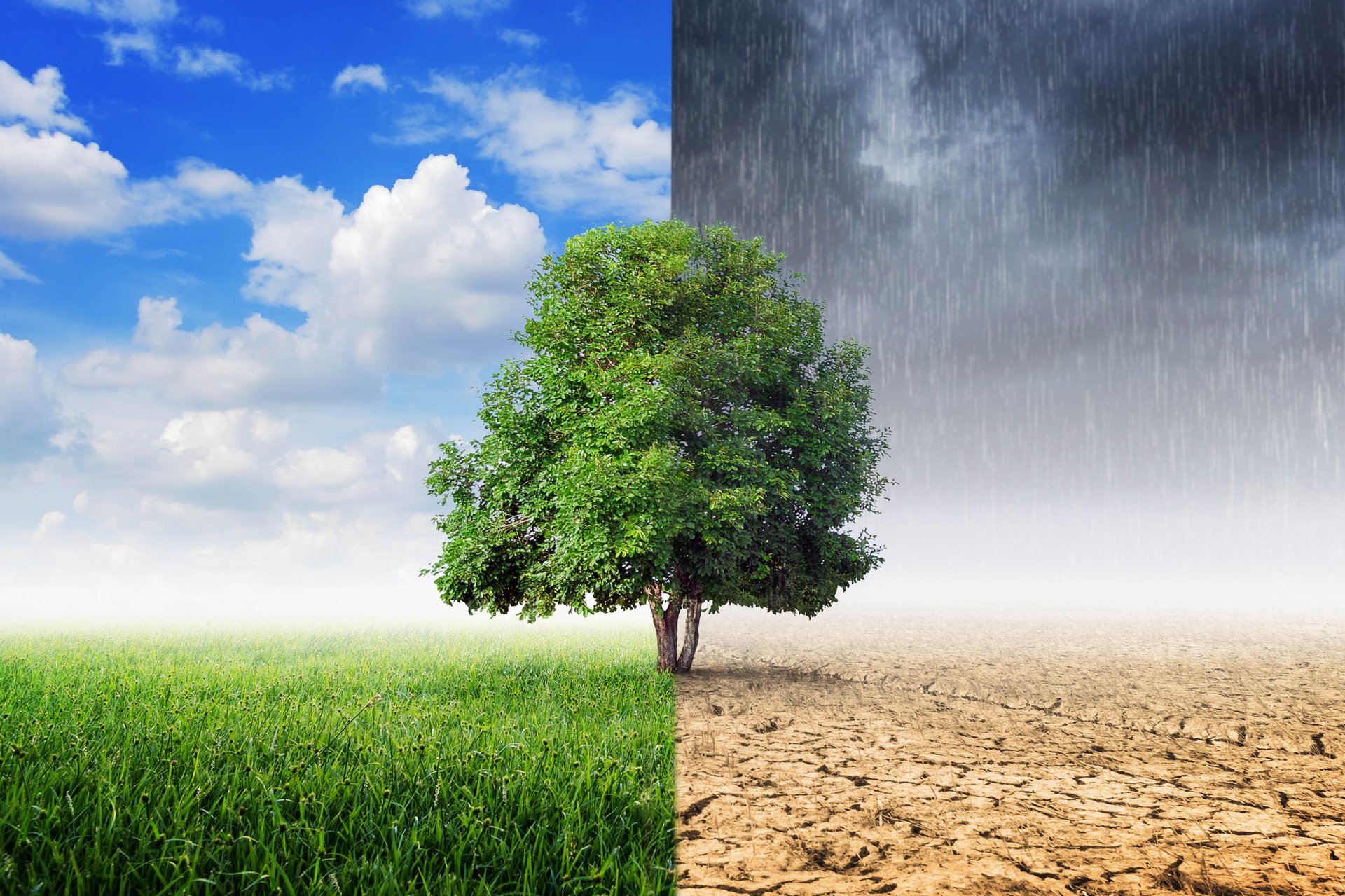 Global climate models don't work on a regional level