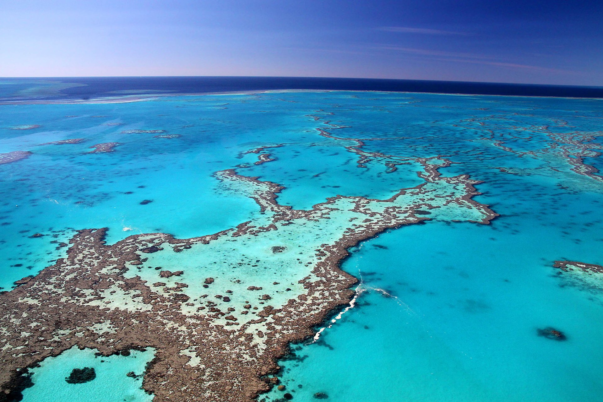Scientists send plea to Australia to save coral reefs