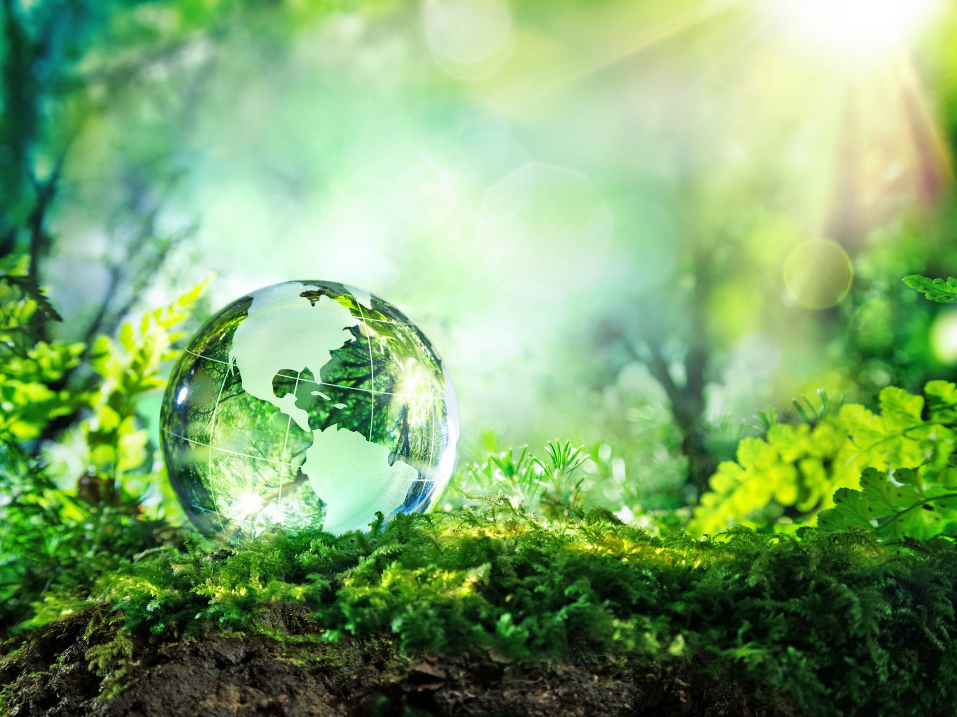 Mosses helped enrich early Earth with oxygen
