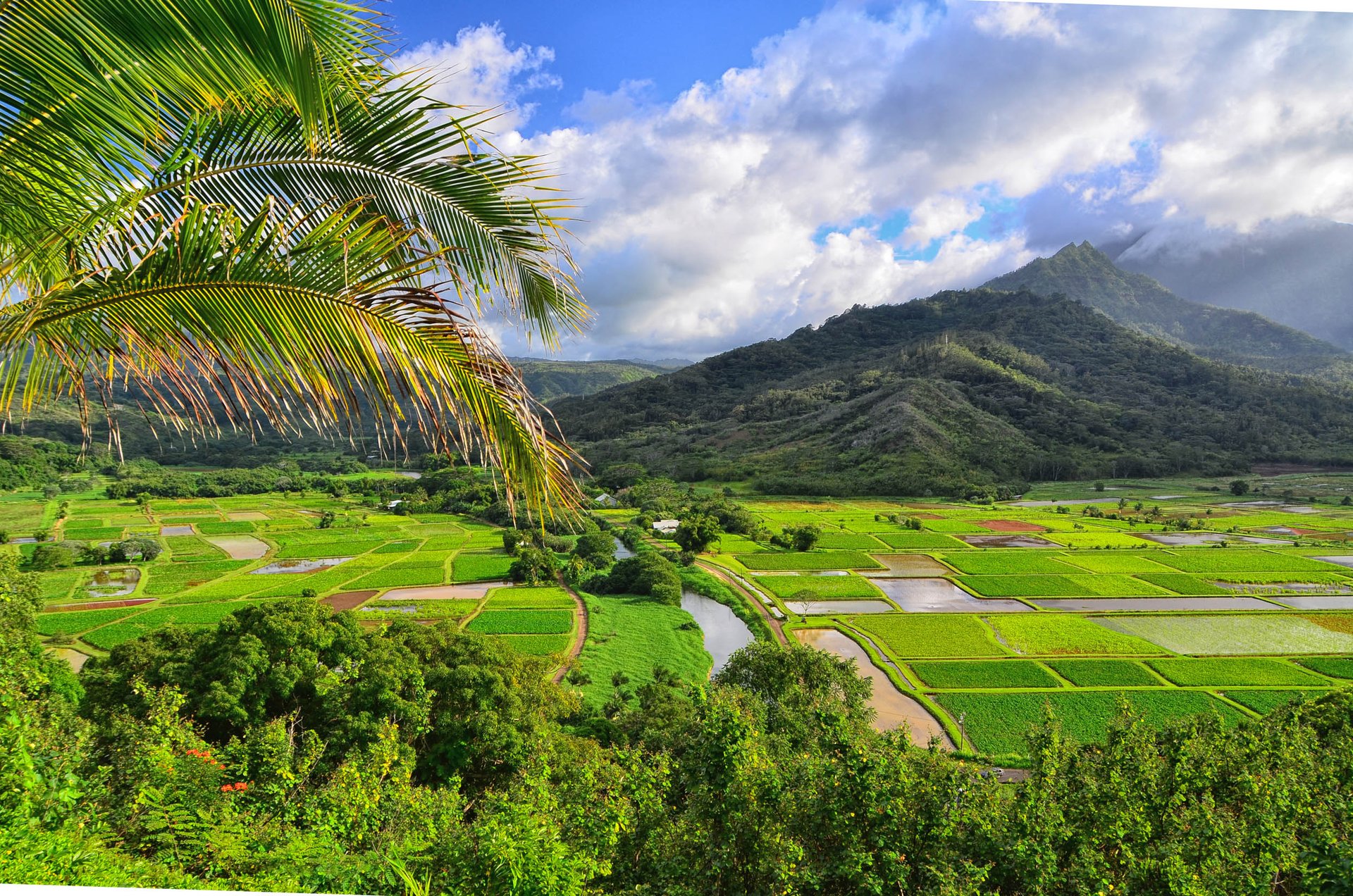 Underground Navy fuel tanks worry Hawaiian farmers
