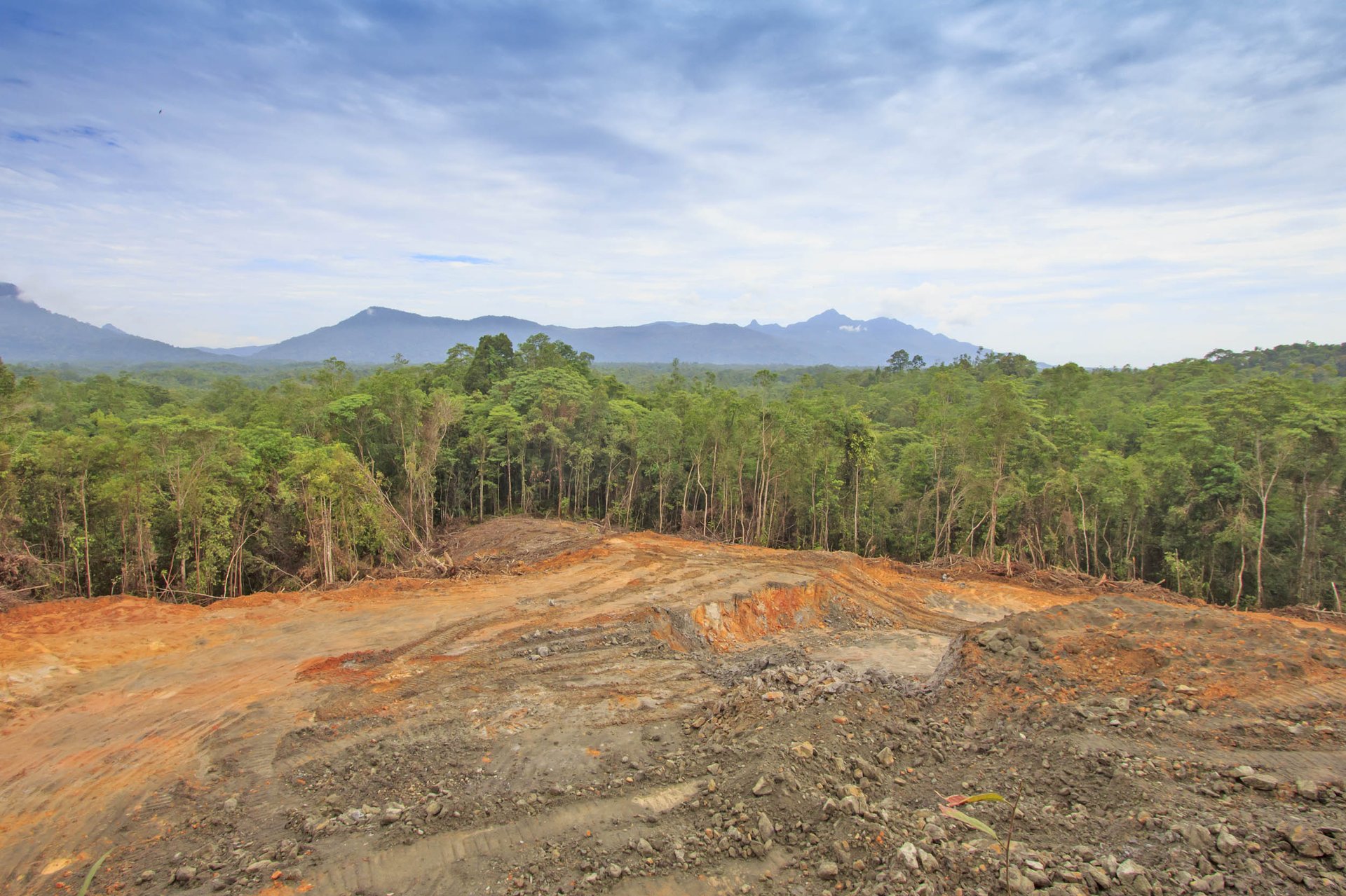 Impacts of tropical deforestation will be felt for many years to come