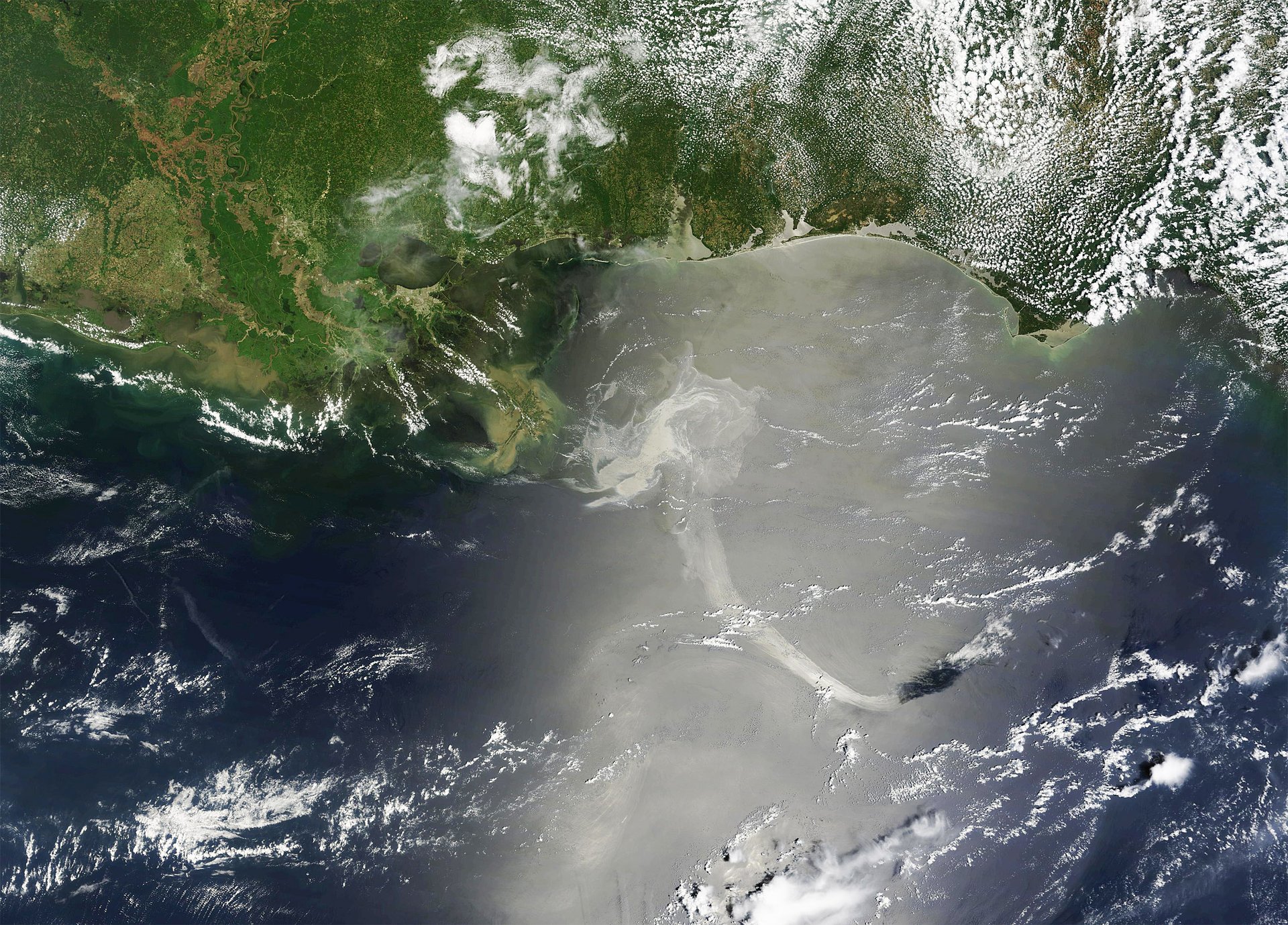 Ensuring the efficacy of restoration efforts after Deepwater Horizon