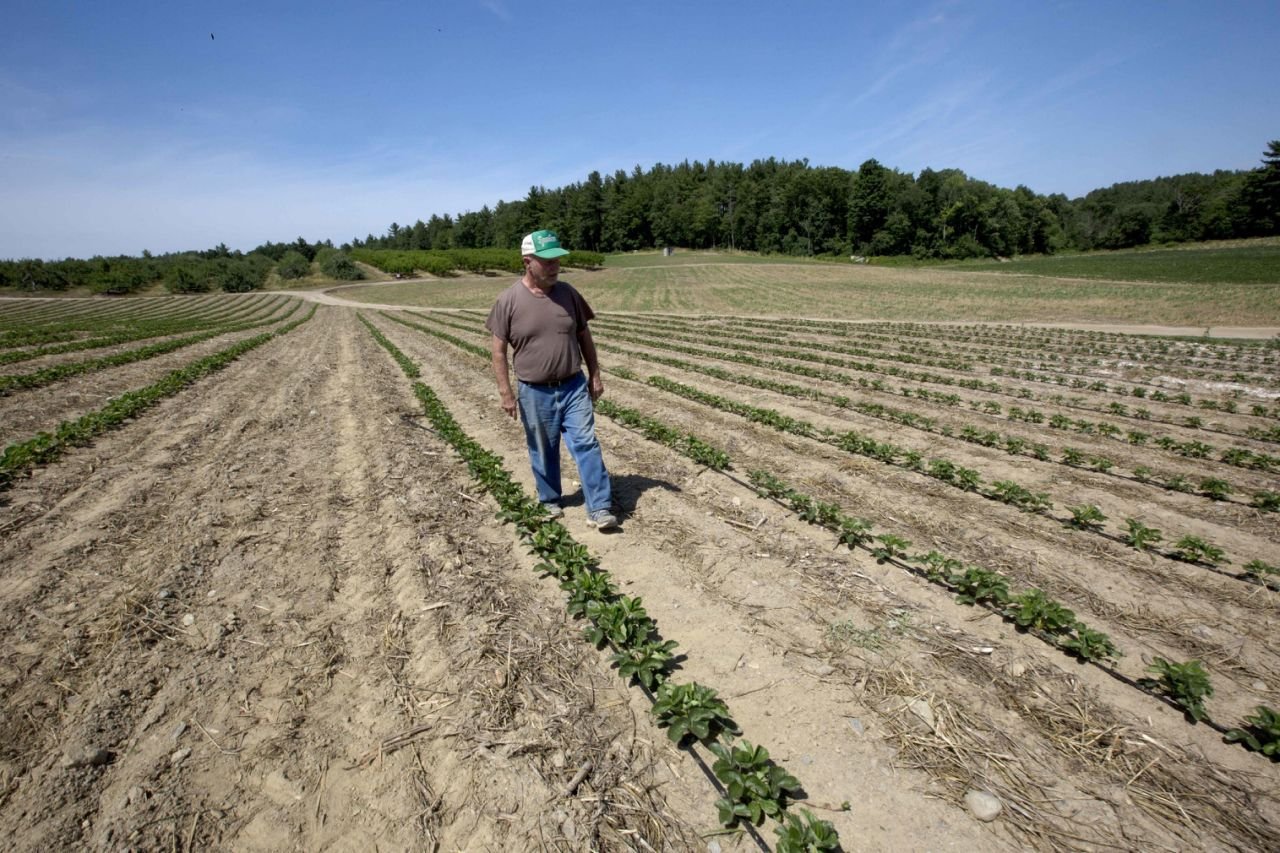 Drought hits the Northeastern US