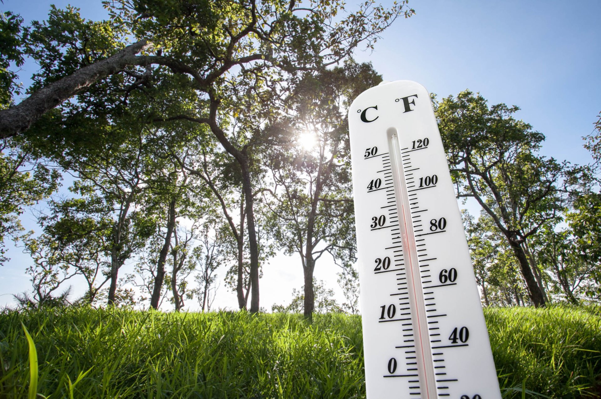 Merciless heat wave covers the US