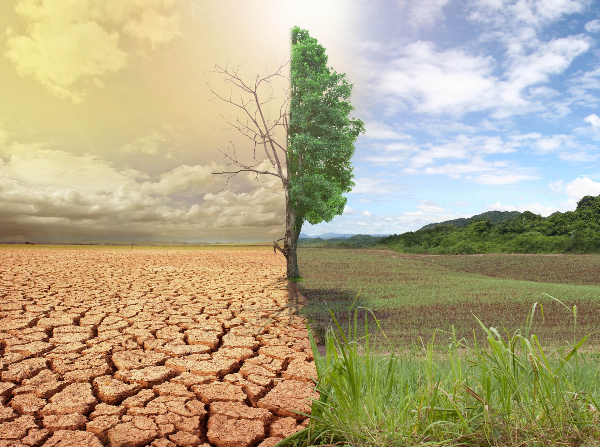 Overcoming a weakness of global climate models