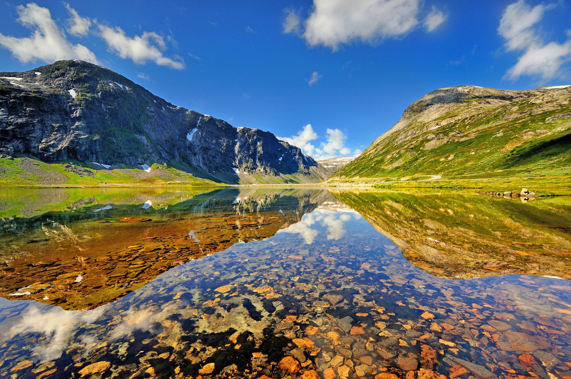 Ice algae: The engine of life in the central Arctic Ocean