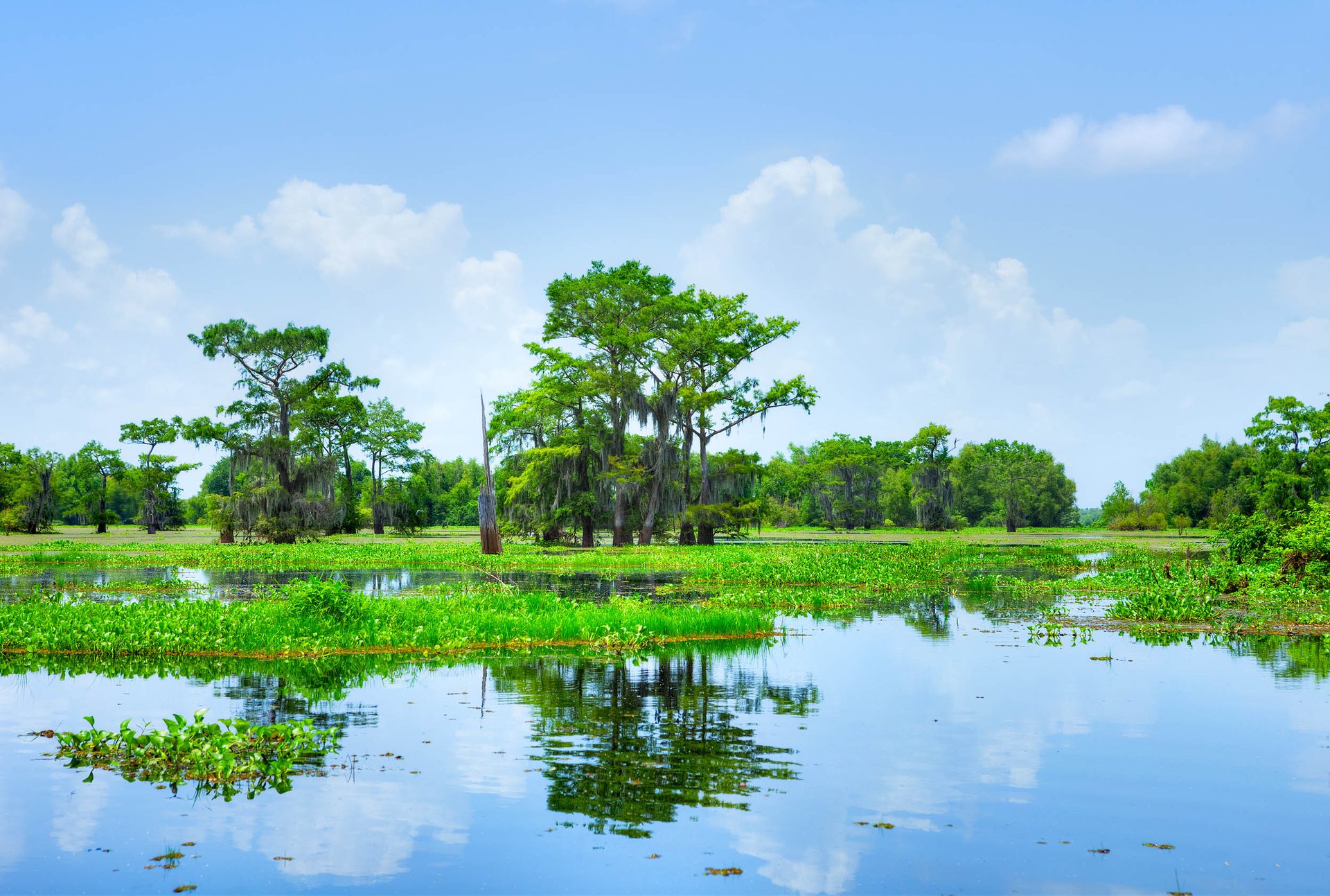 Atchafalaya Basin study calls for old methods of coastal management
