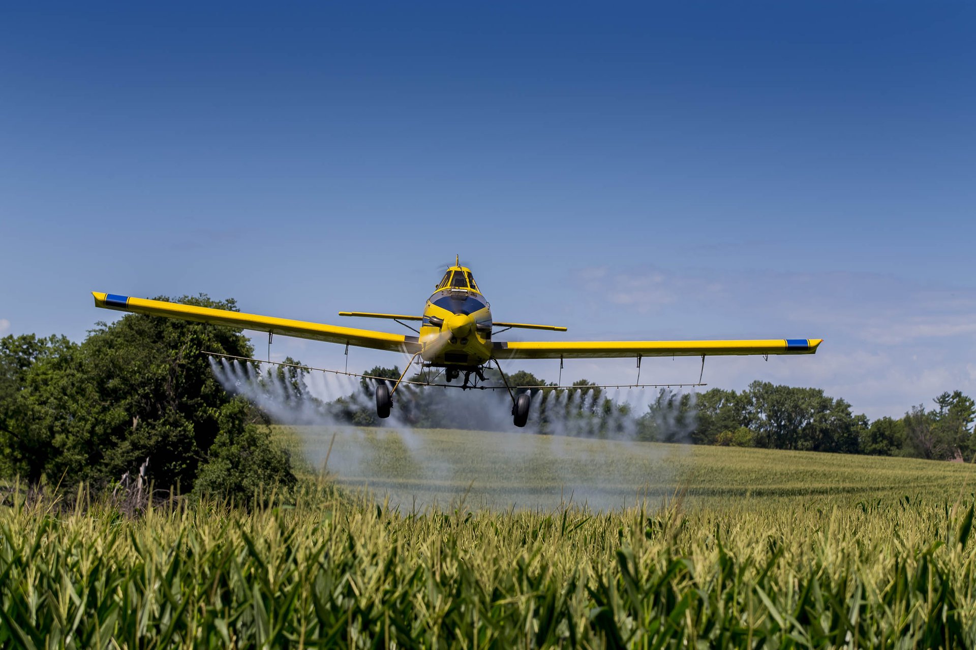 Herbicides were widely used on federal lands