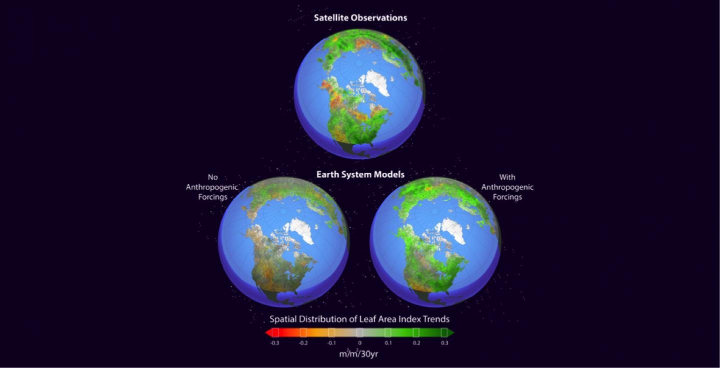 Climate study finds direct correlation between humans and greening