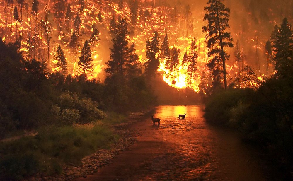New cameras are keeping an eye on Western wildfires