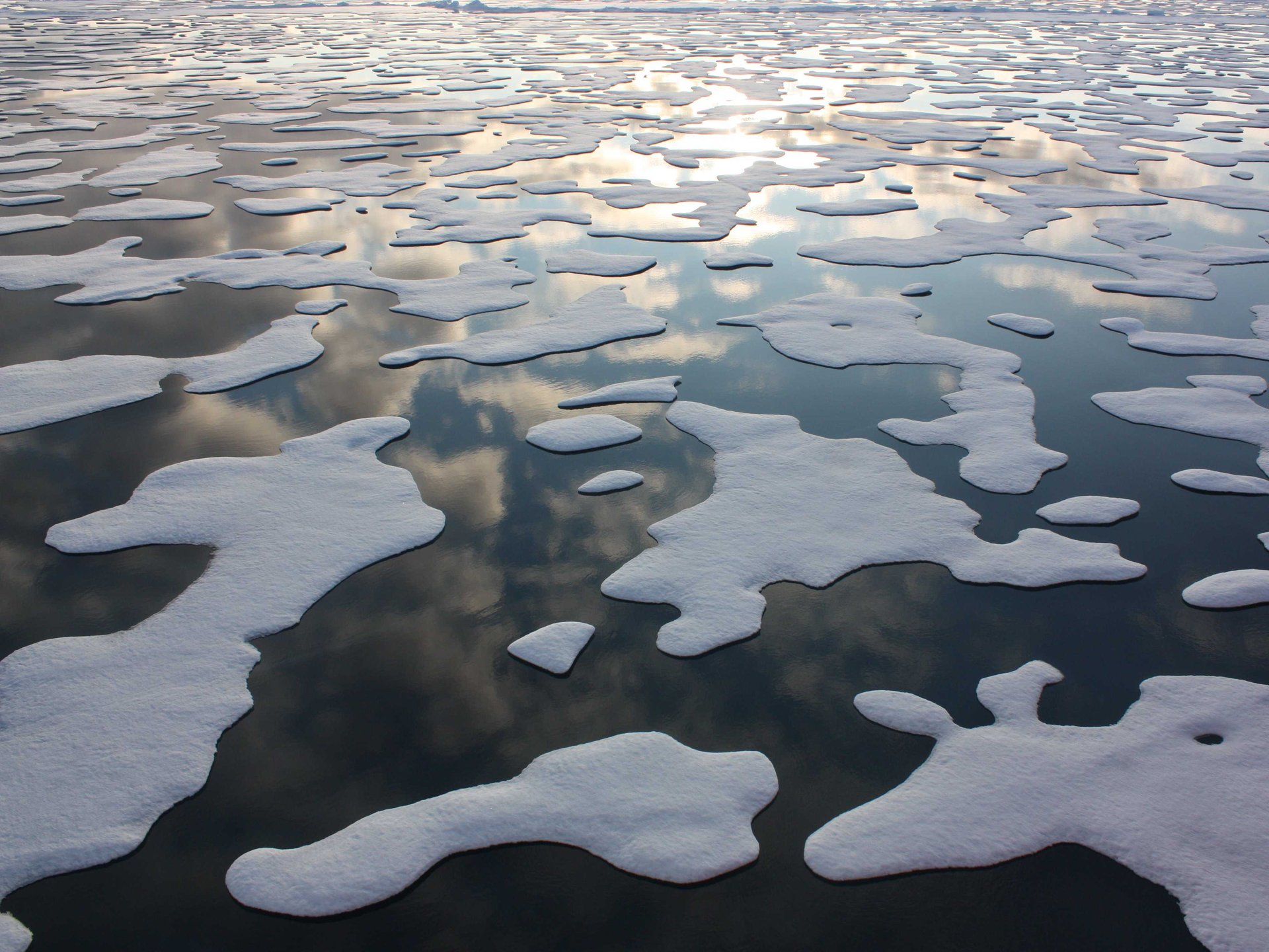 Changes in Antarctic sea ice production impact global ocean circulation