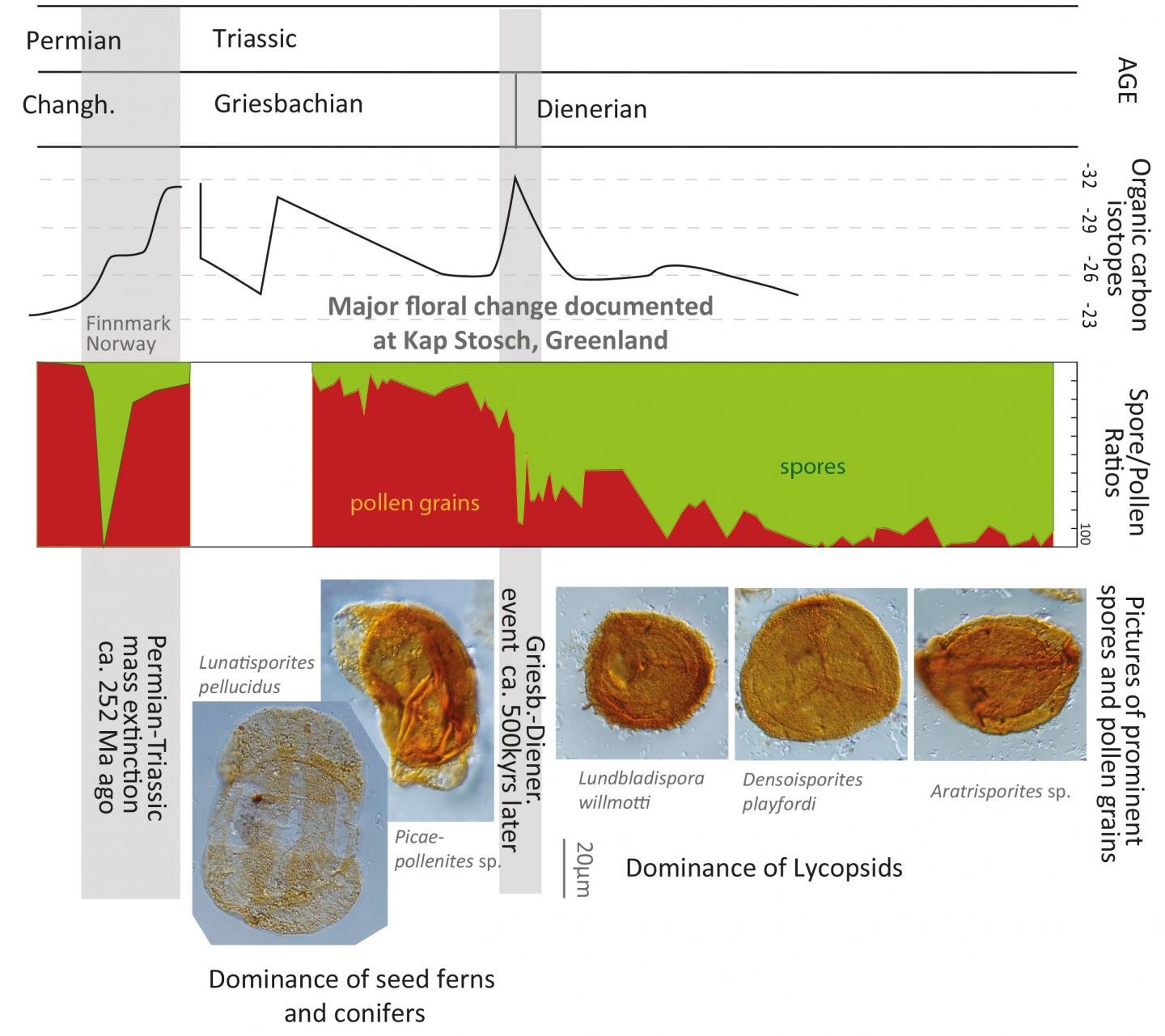 Global ecological disaster occurred 252 million years ago