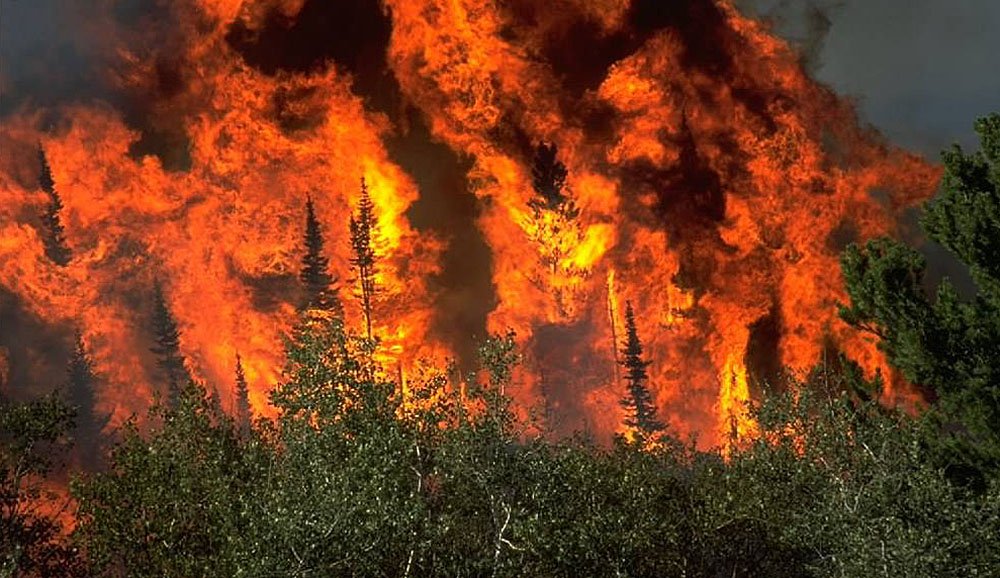 The future of wildfire activity in the South