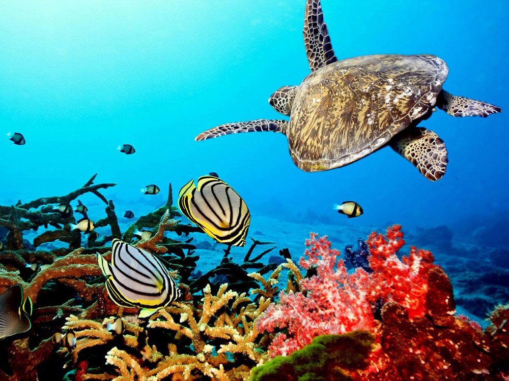 CORAL: The Coral Reef Airborne Laboratory