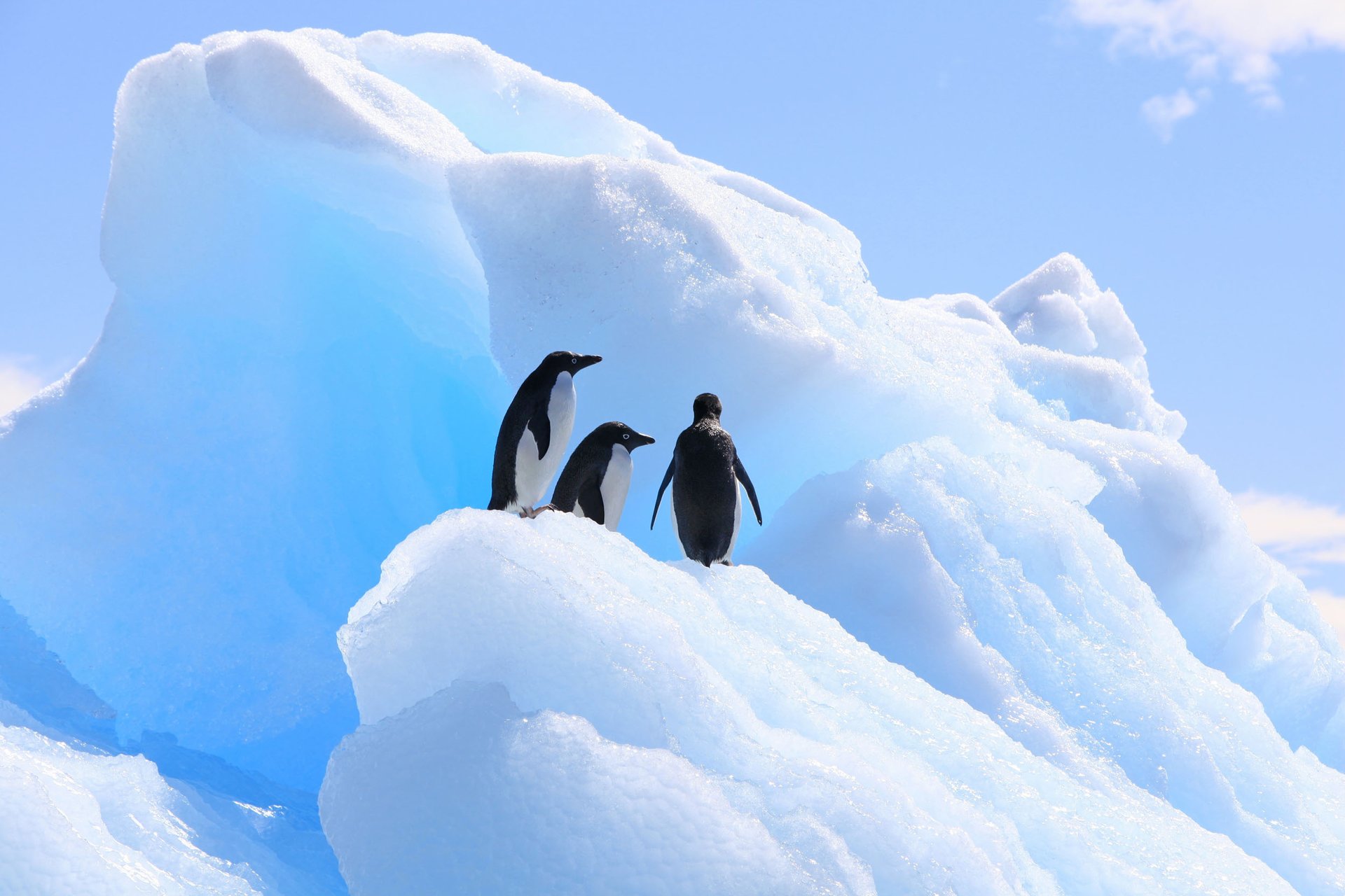 Will more snow in Antarctica offset rising seas?