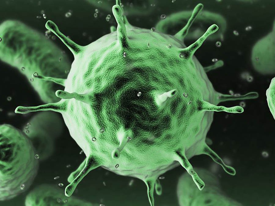 Pelagibacterales: Tiny organisms have huge climate impact