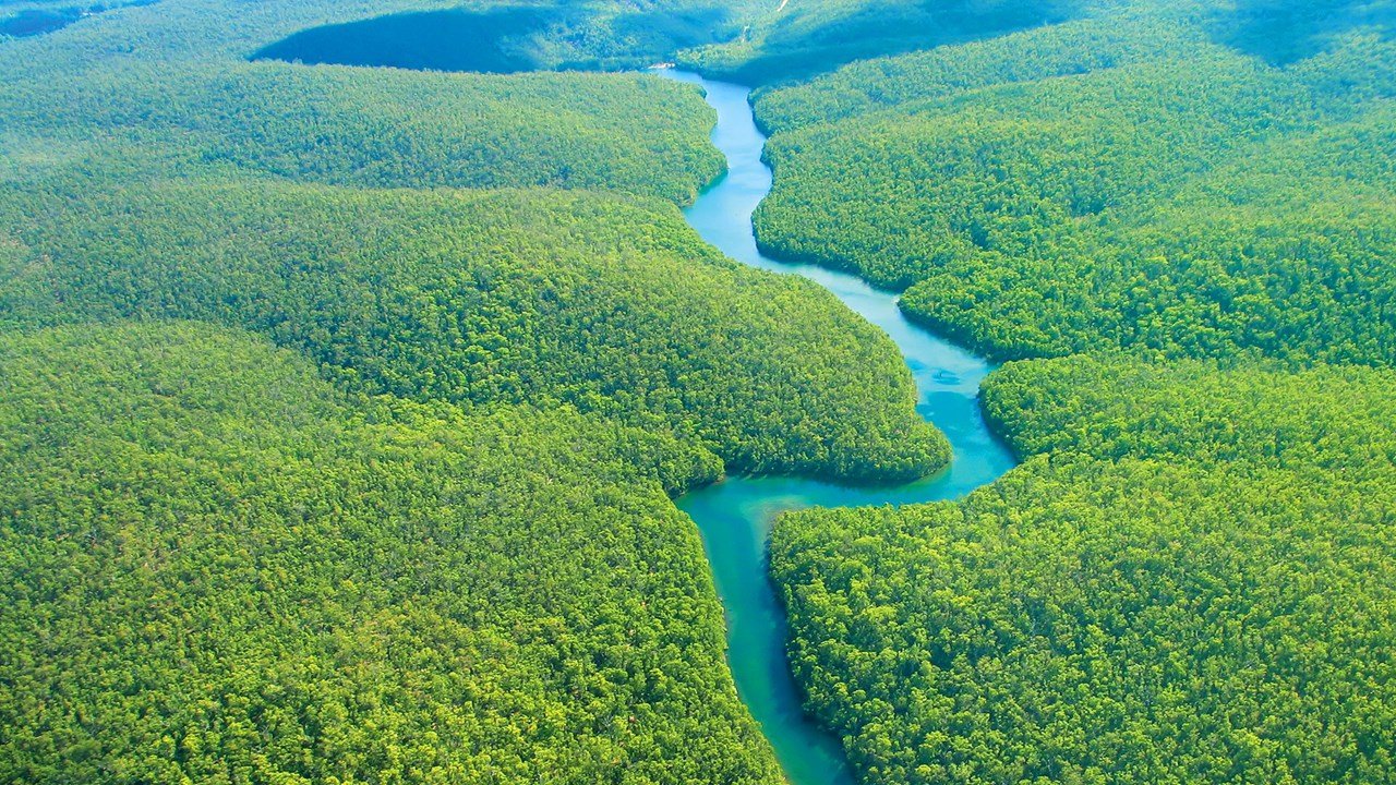 Deforestation Diminishes Amazon Basin Rainfall