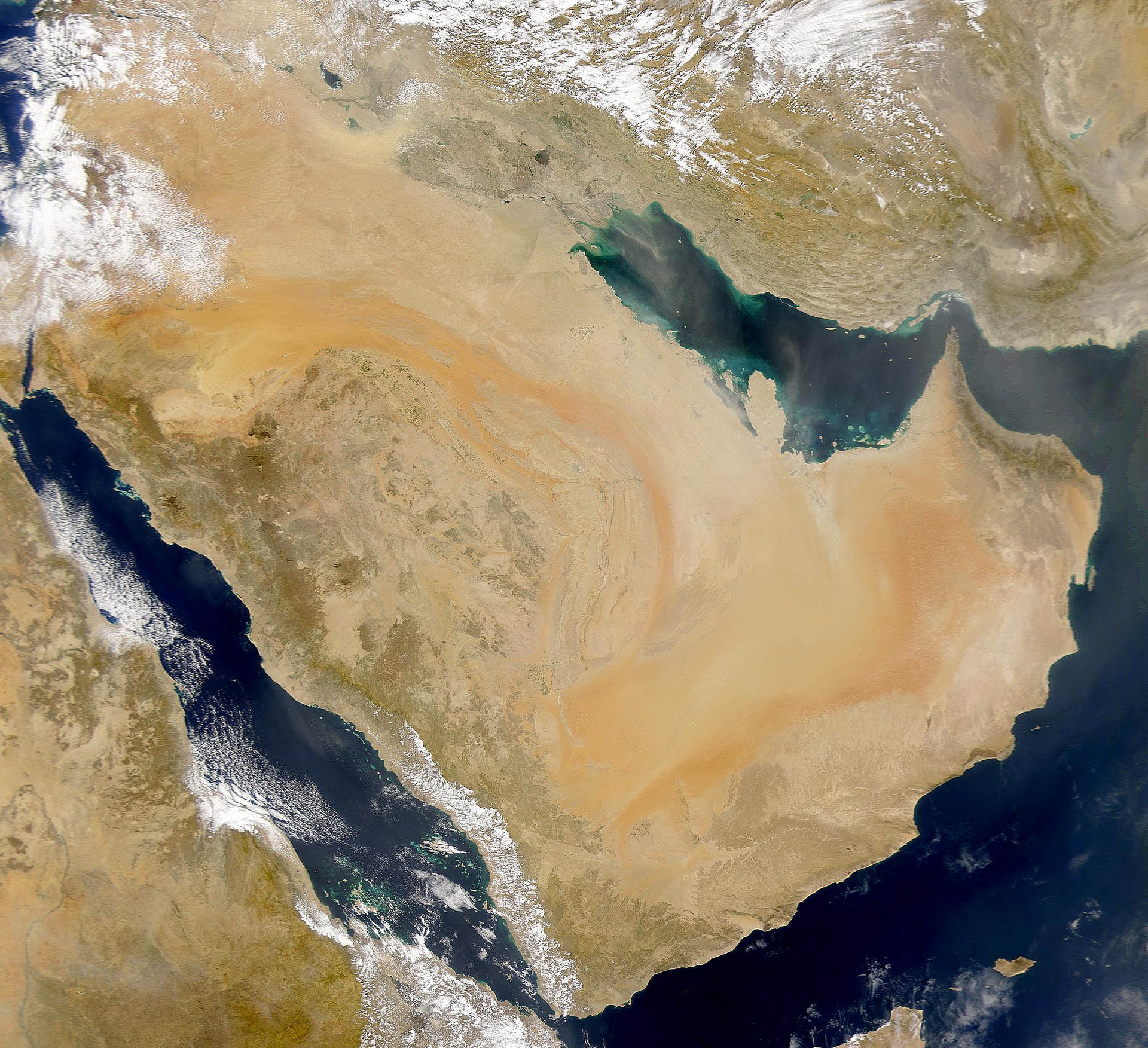 Saudi Arabia Makes Climate Action Pledge