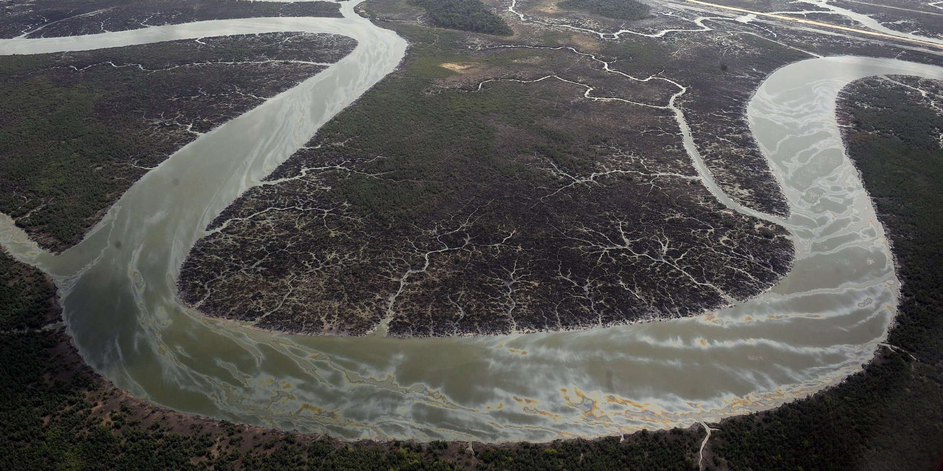20 Years After Activist Hangs, Oil Pollution Still Wrecks Nigeria