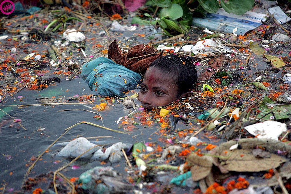 Greenpeace Says They Have Been Banned From India