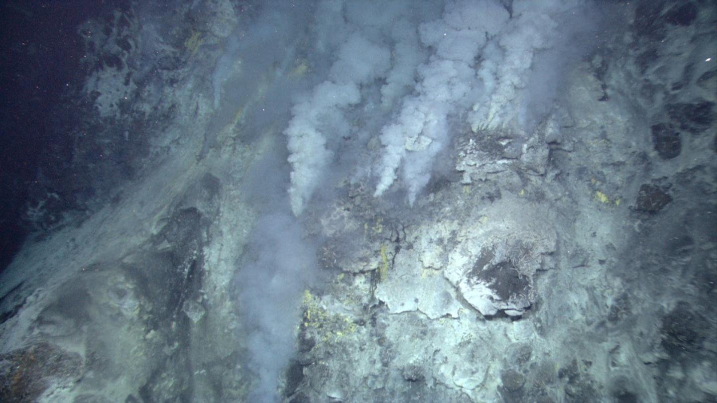 Hydrothermal Vents Influence Ocean Carbon Storage