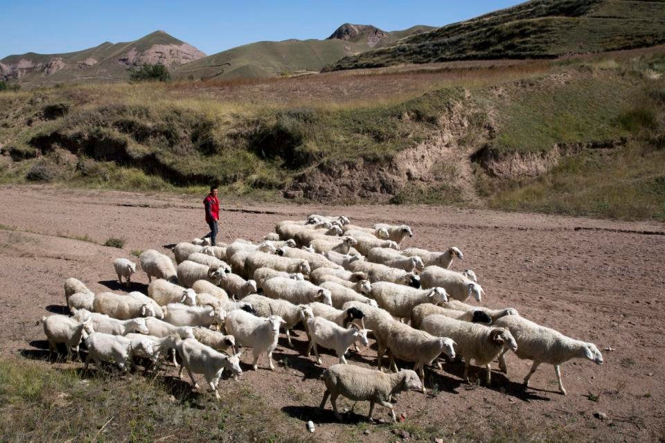 China Fights Drought By Moving People