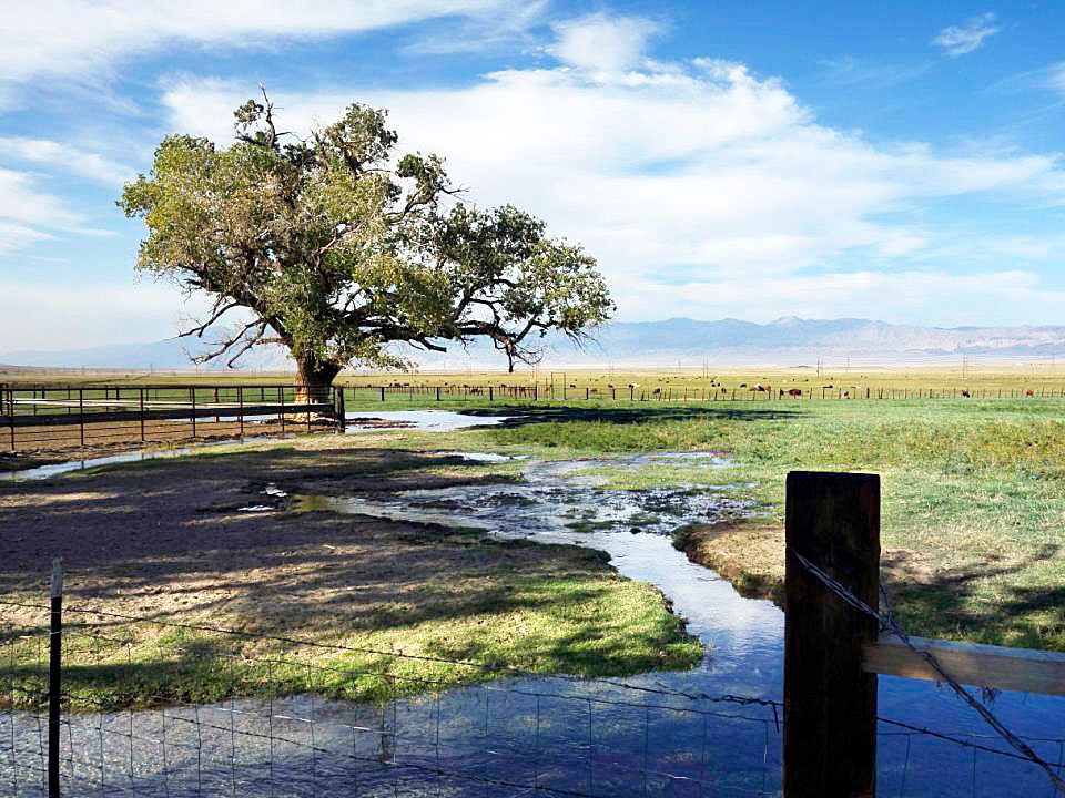 Water Flows Again In Los Angeles Aqueduct
