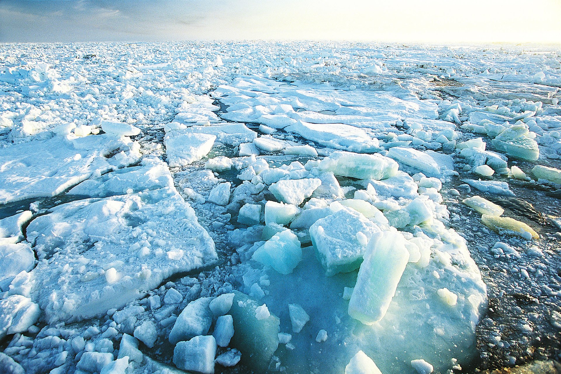 Melting Arctic Accelerates Methane Emissions