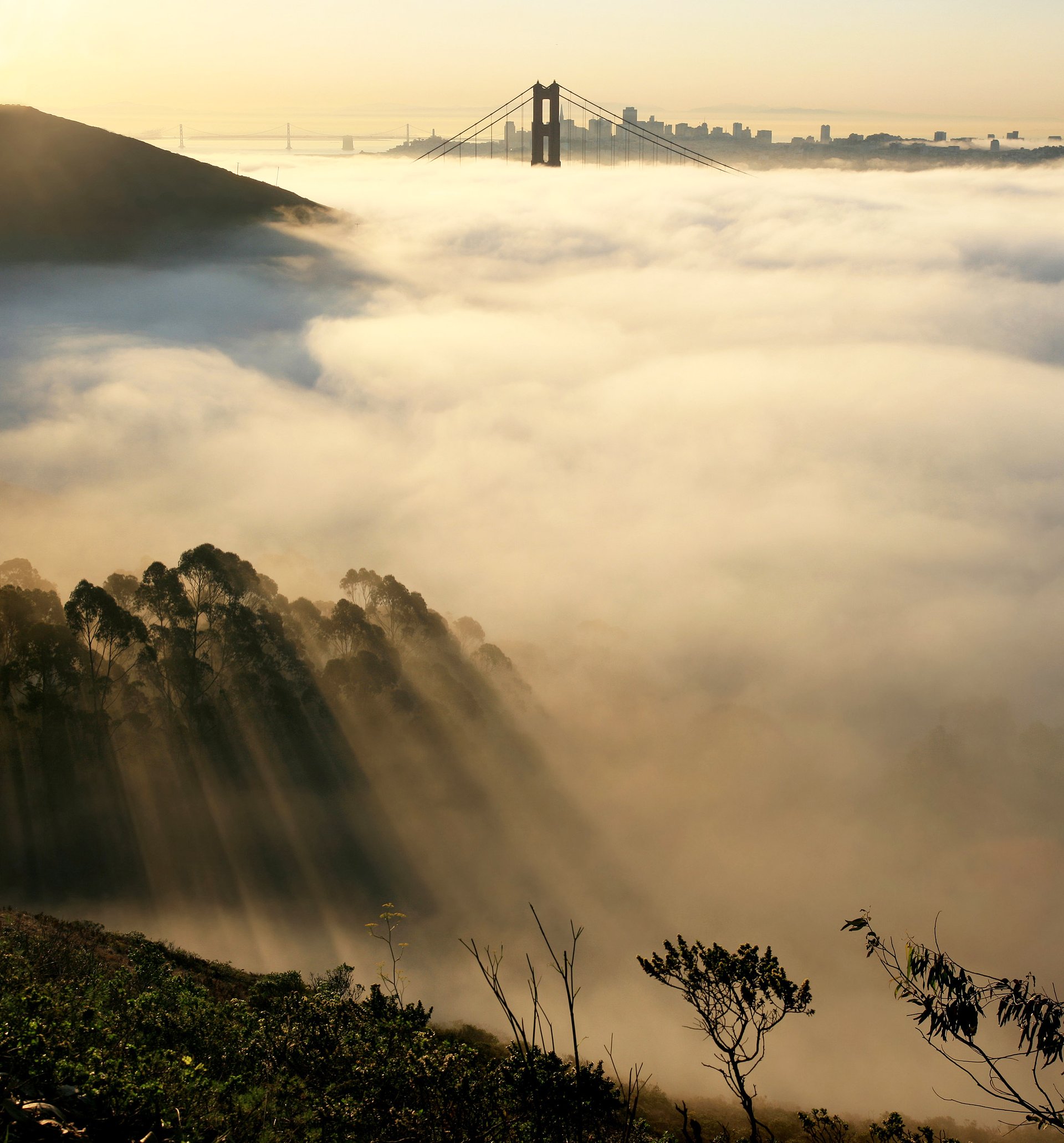 Sea Fog Over Coastal California Contains Mercury
