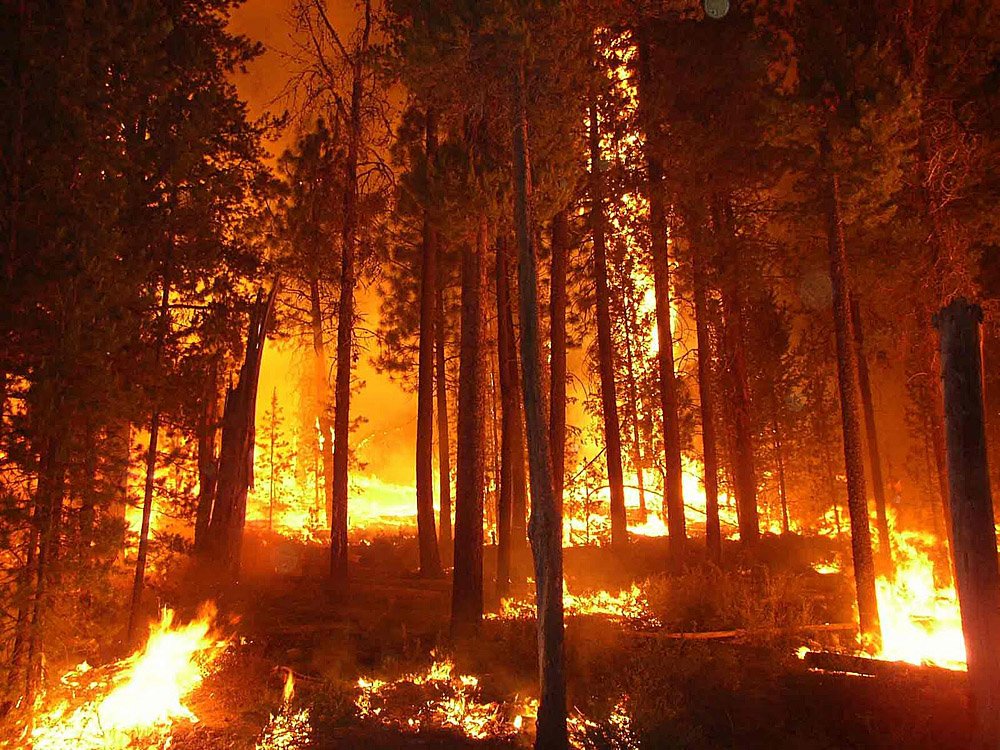 Republicans Want To Tap Into Wildfire Disaster Reserves