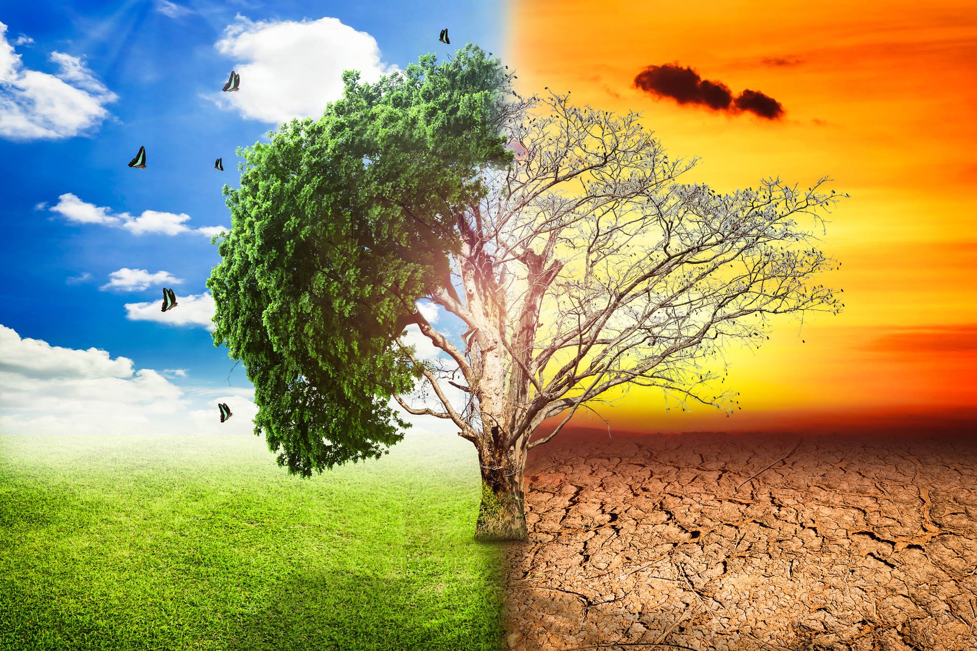 Poll: Americans will tolerate higher bills to fight global warming