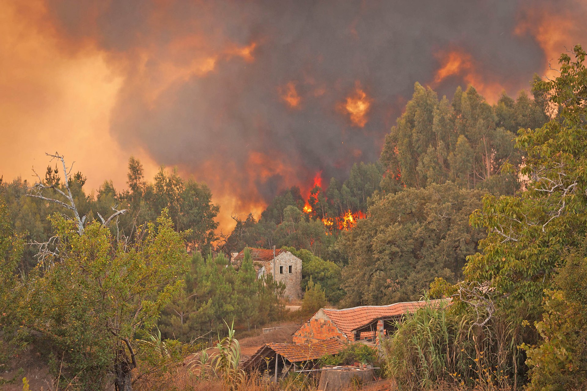 US forest fires have doubled from human-caused climate change