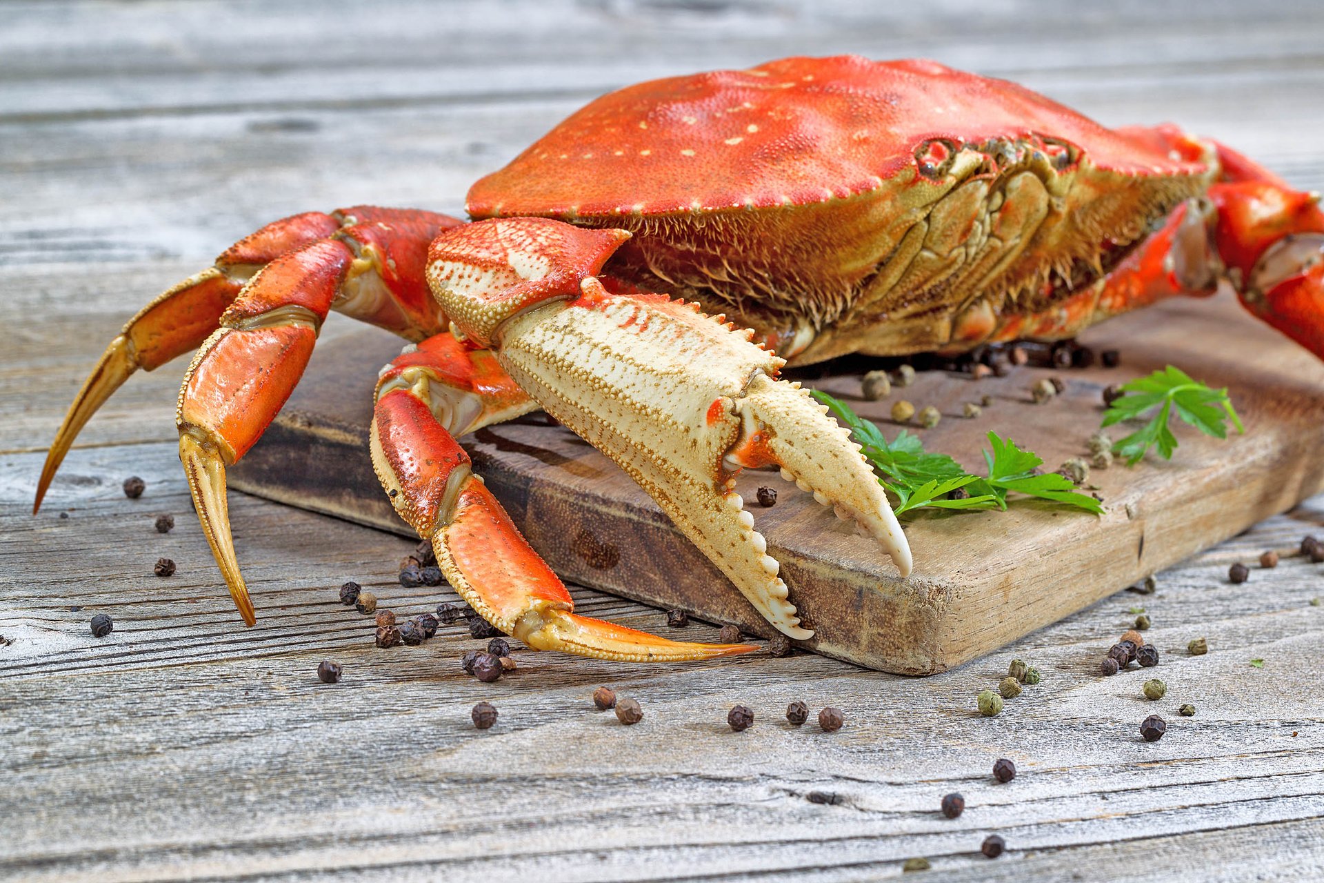 Ocean acidification is threatening crab populations
