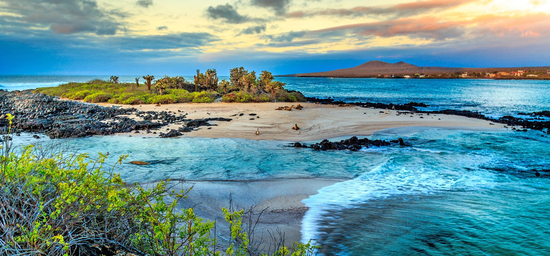 The Galapagos Islands are struggling from the growth of ecotourism