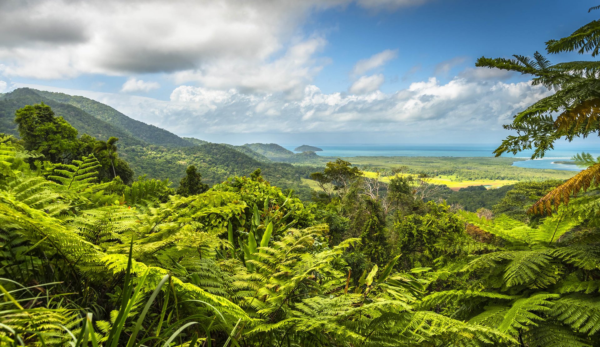 More Amazon deforestation is happening than officially documented
