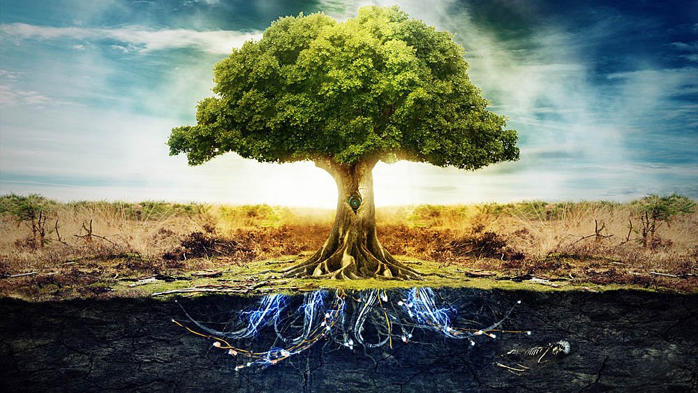The tree of life just grew by dozens of branches