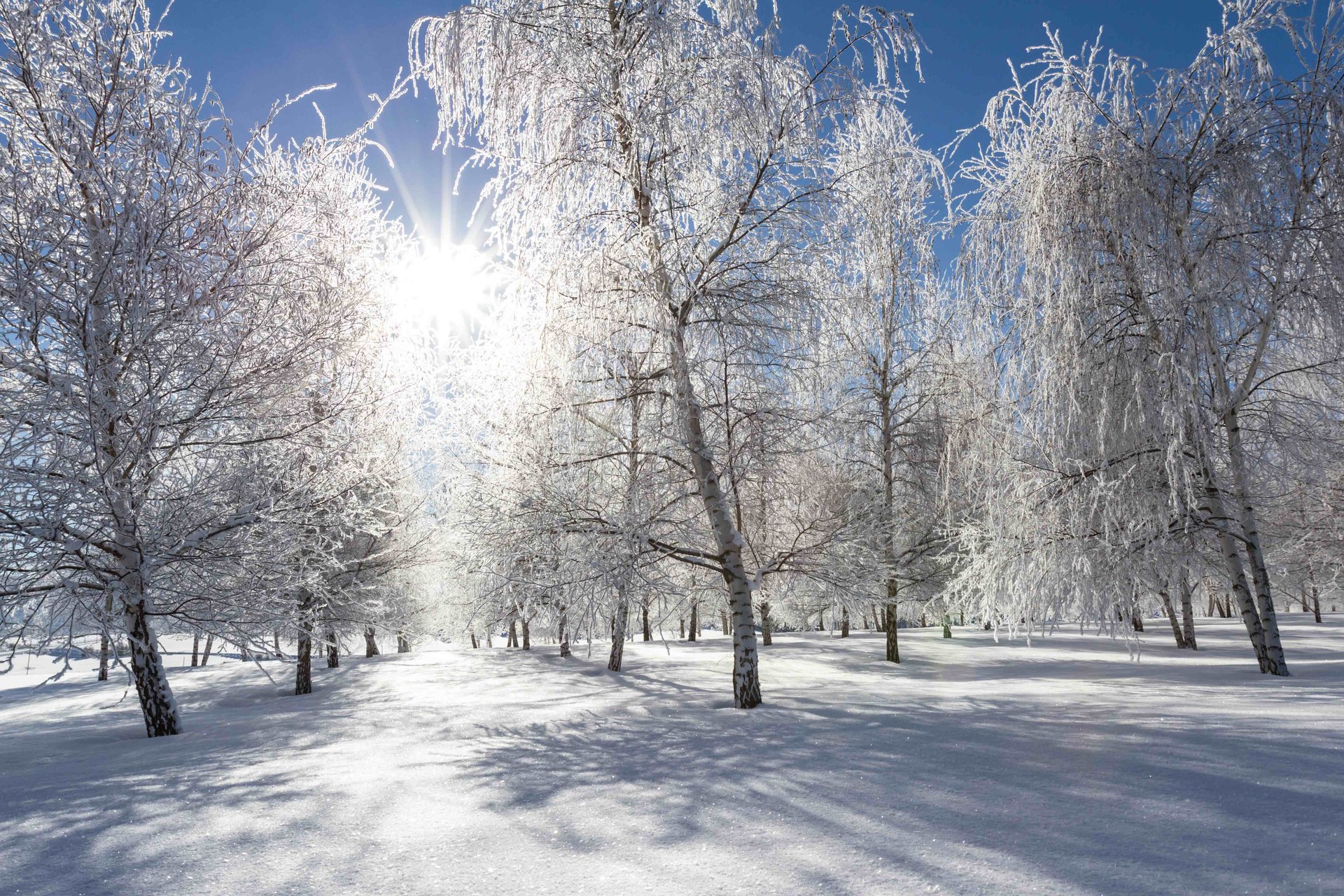 Climate change may be responsible for extreme cold winters