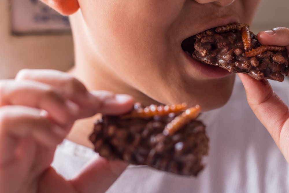 Are you ready to eat edible bugs?
