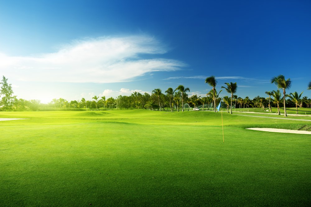 Golfers beware – new golf course fungal disease