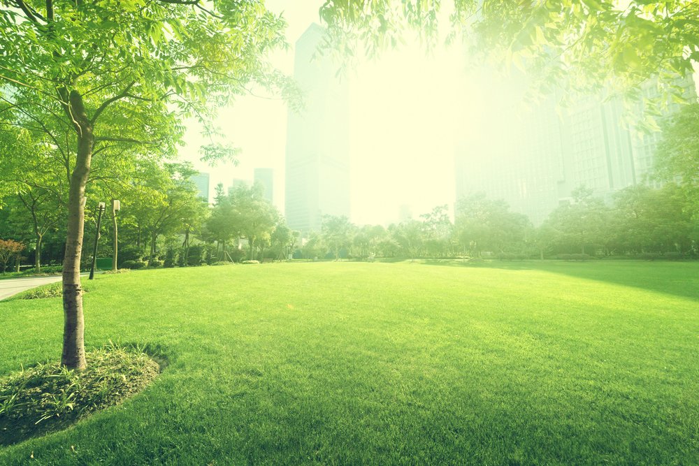 Urban forest planning simplified by new database