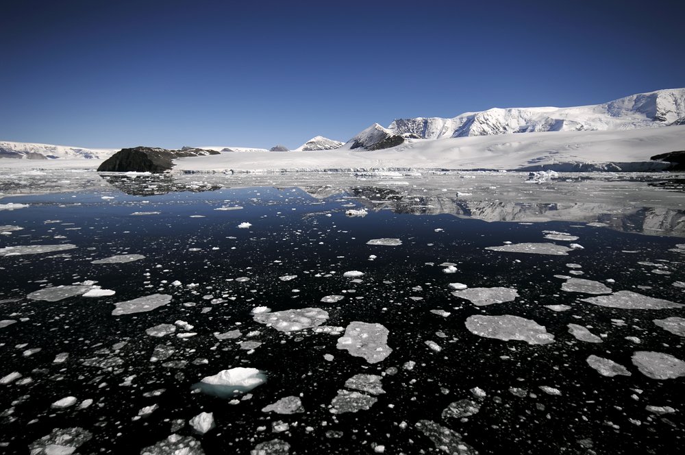 Polar Vortex linked to loss of Arctic sea ice, say climate scientists