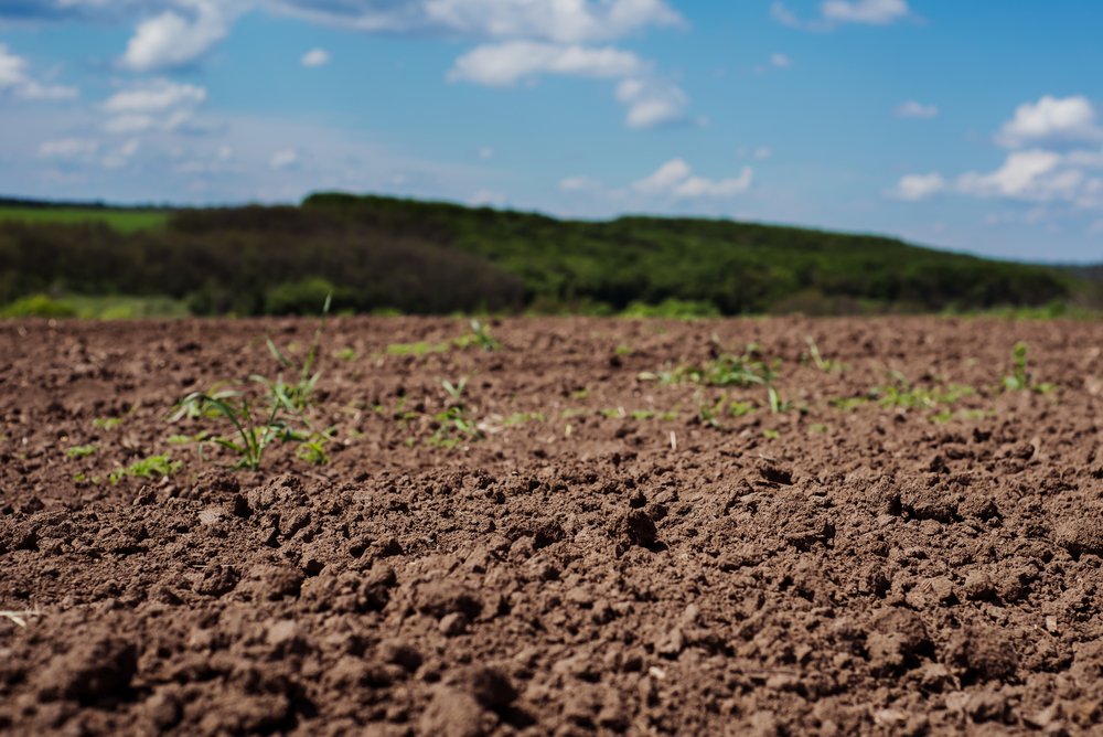 Soil causes climate change, shocking report attests