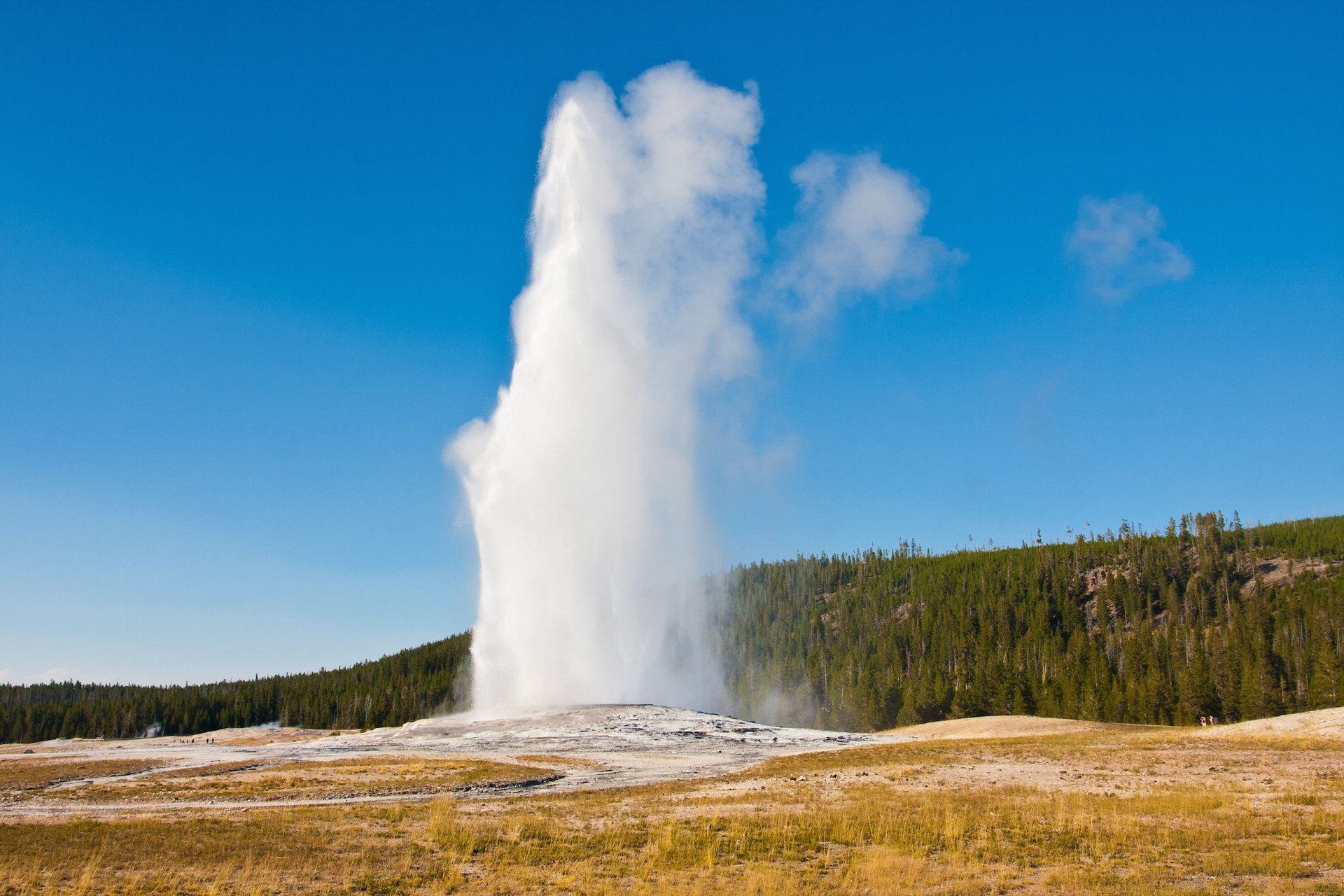 Yellowstone National Park could be in danger, says new report