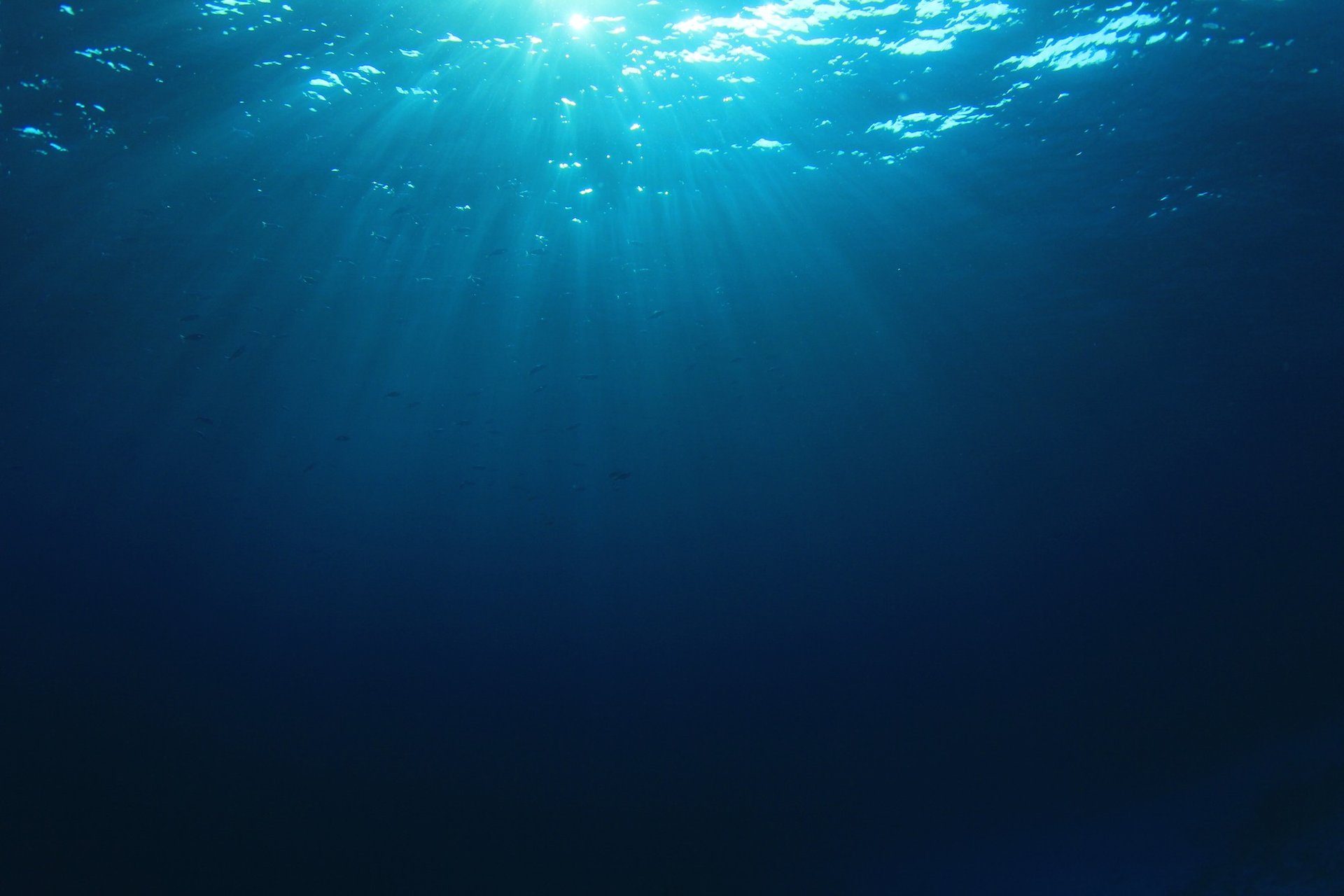 First wave farm in Britain unveiled for 2018 in Cornwall