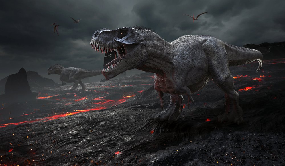 Fossils provide clues about mass extinction event