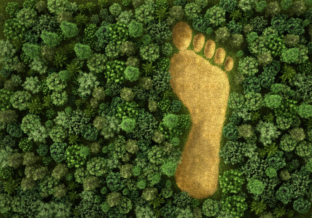 Human footprint 'increasingly visible' in new report from UN