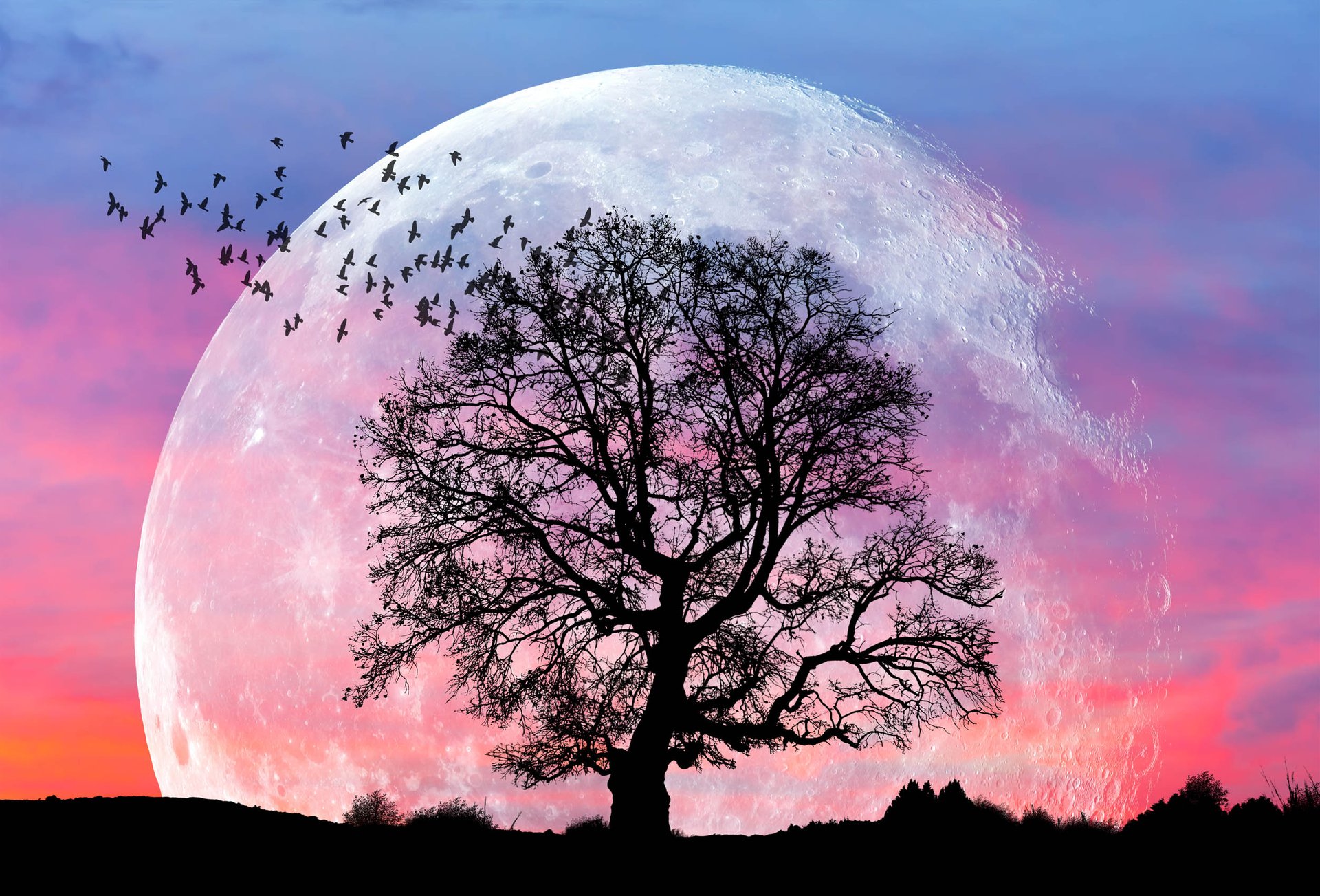 Supermoon on November 14 is closest to Earth since 1948