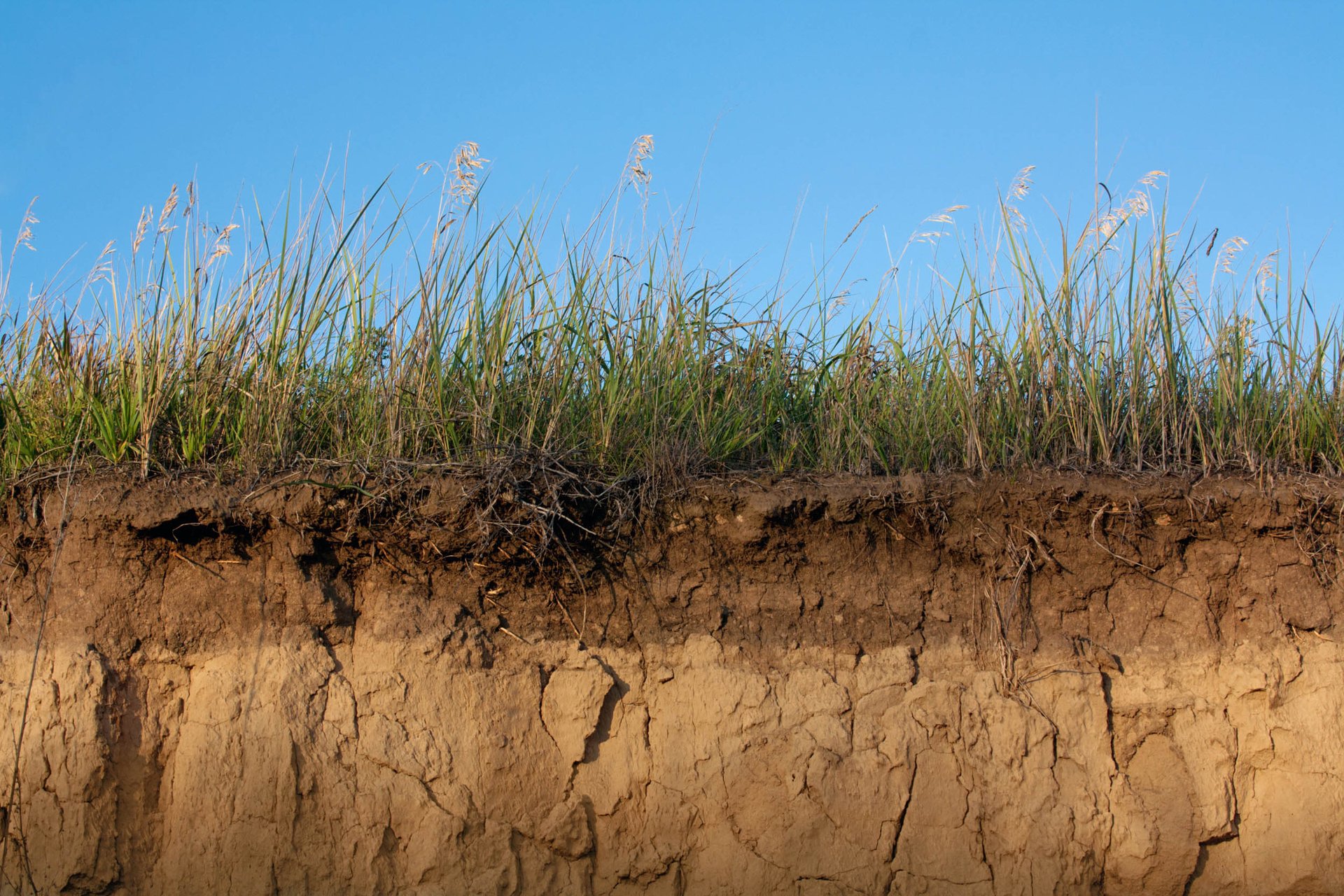 Life on Earth existed on land much earlier than previously believed